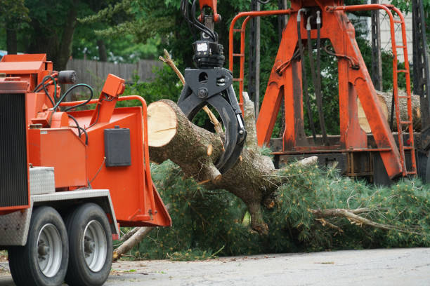 Best Firewood Processing and Delivery  in Milford, NJ