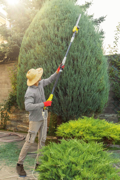 Best Arborist Consultation Services  in Milford, NJ